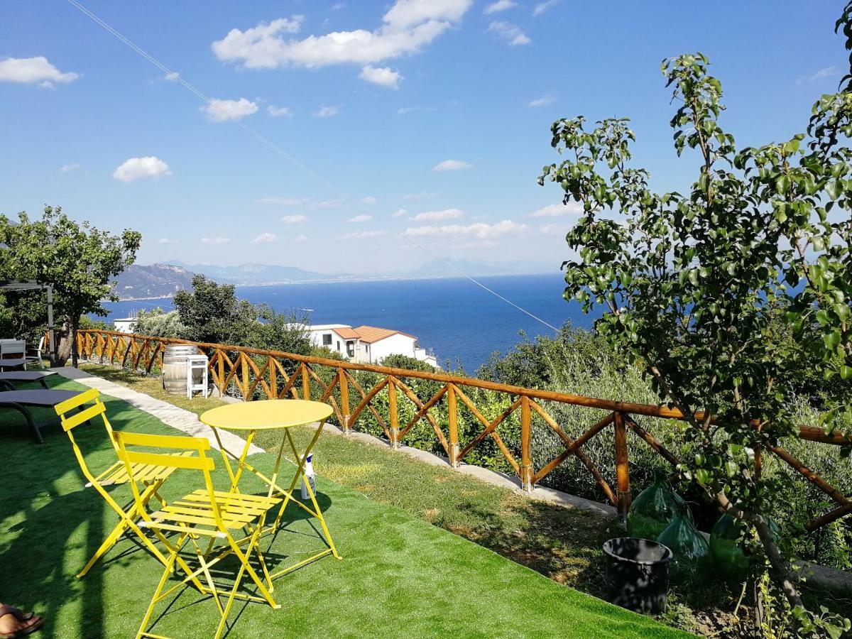 Villa Donna Antonia - Amalfi Coast Conca dei Marini Exteriér fotografie